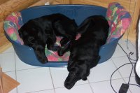 Links liegt Antonya, rechts liegt Andyra