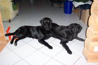 Links liegt Antonya, rechts liegt Andyra